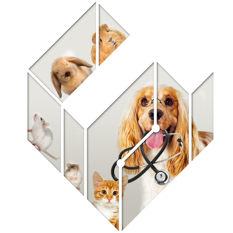 veterinaire Touch Innovation